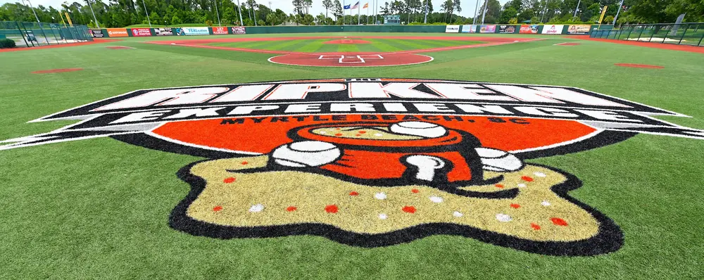 Ripken Experience 2020 action photo
